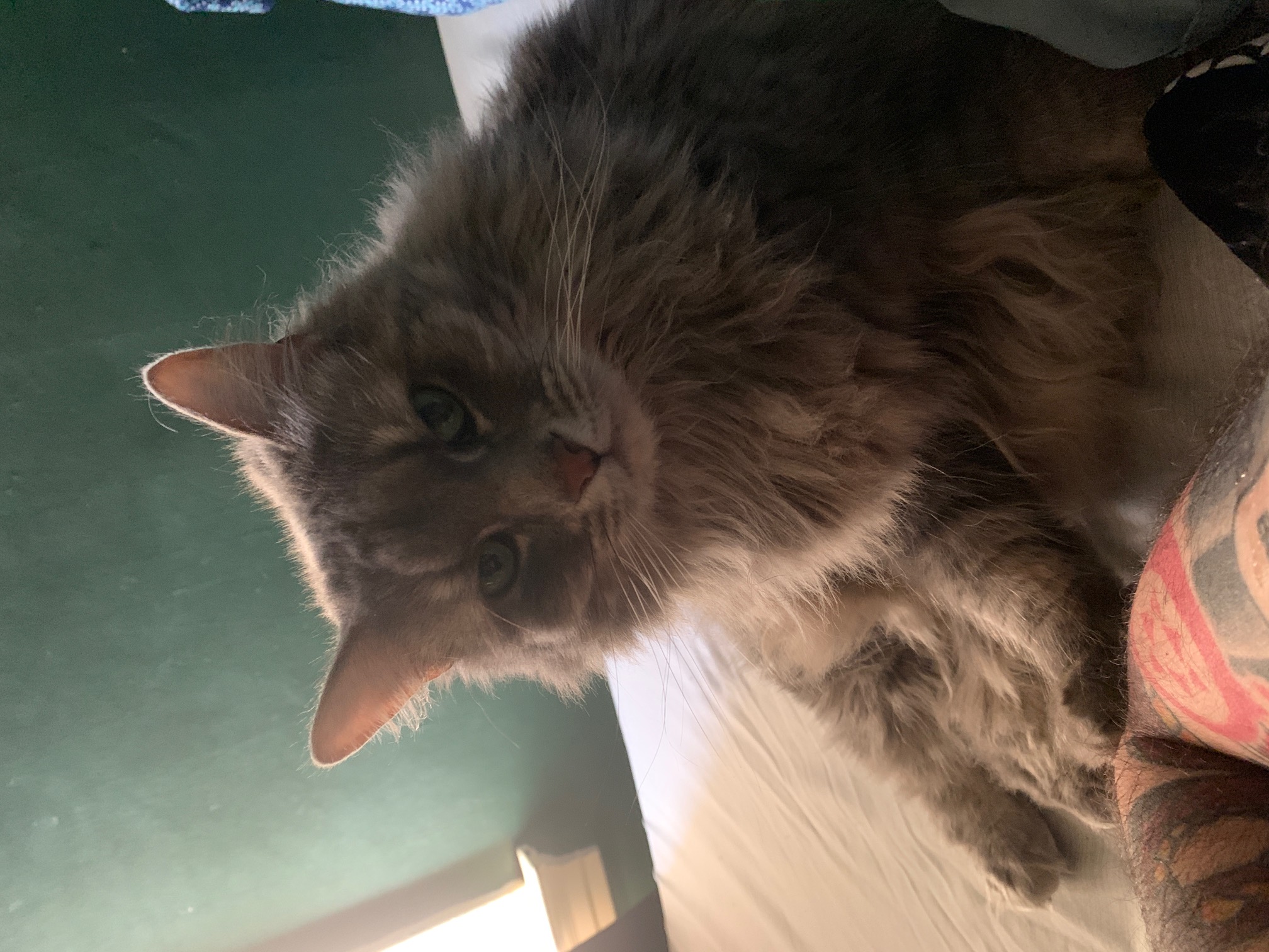 Winnie